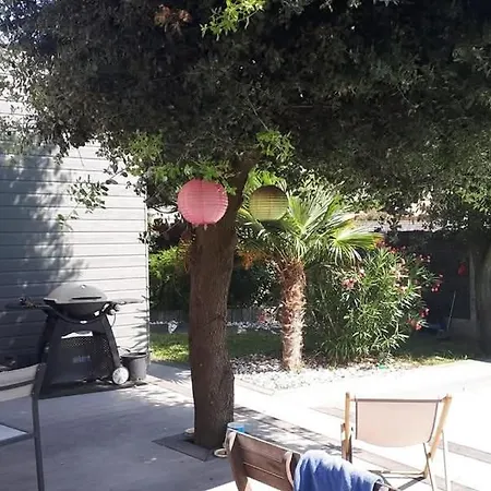 فيلة Kaze Oceane